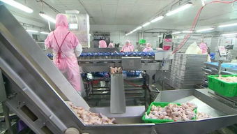 慶云和美食品銷售額突破2億元，產業興旺助力周邊就業改善